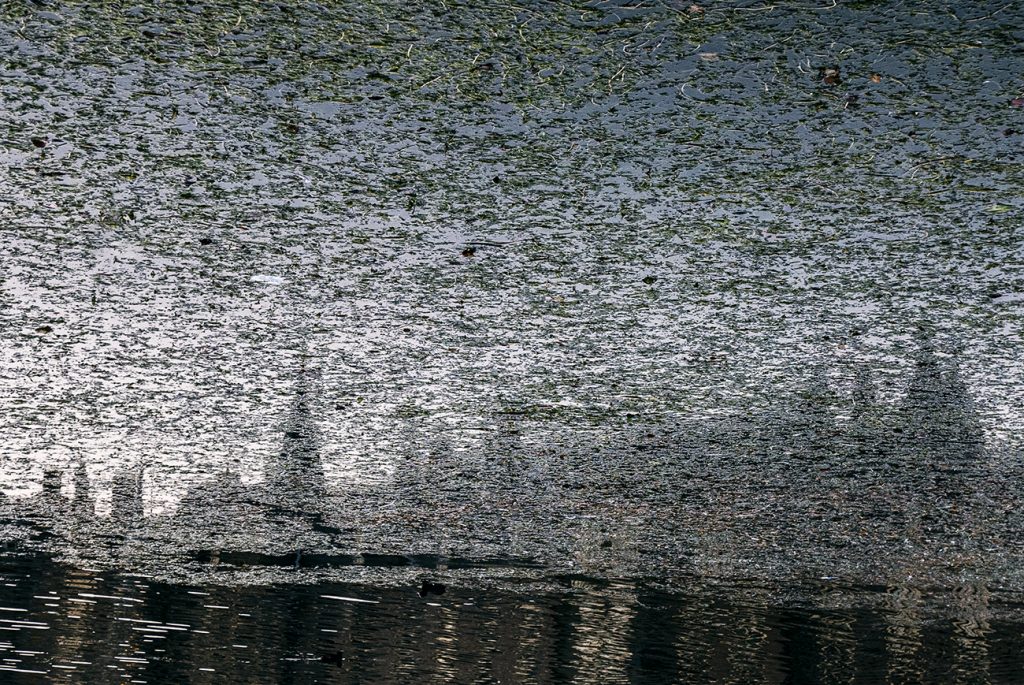 De Hofvijver in Den Haag