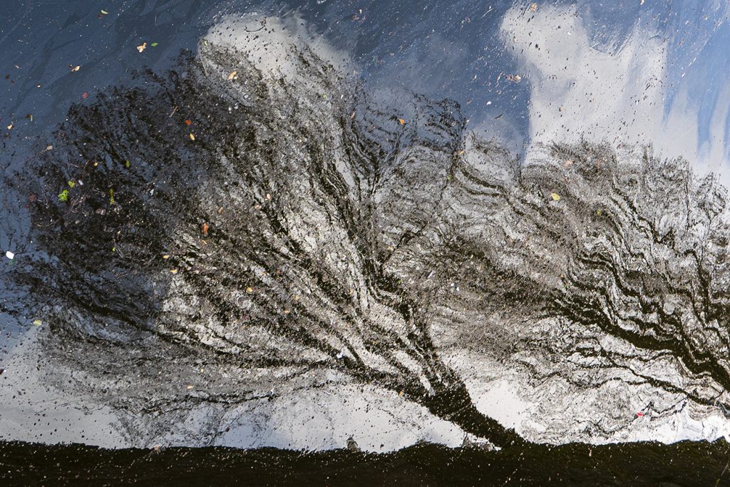 Abstracte afbeelding van bomen in het water